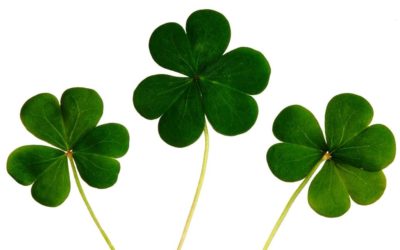 The Luck of the Irish Writer