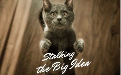 Stalking the Big Idea