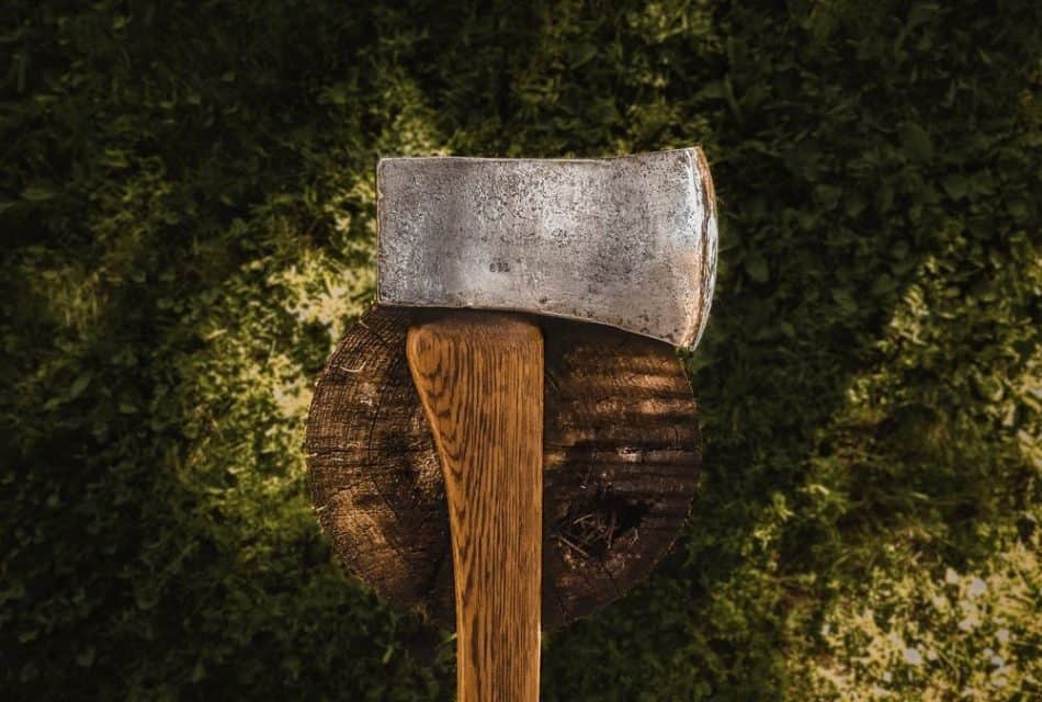 An axe in profile over a stump