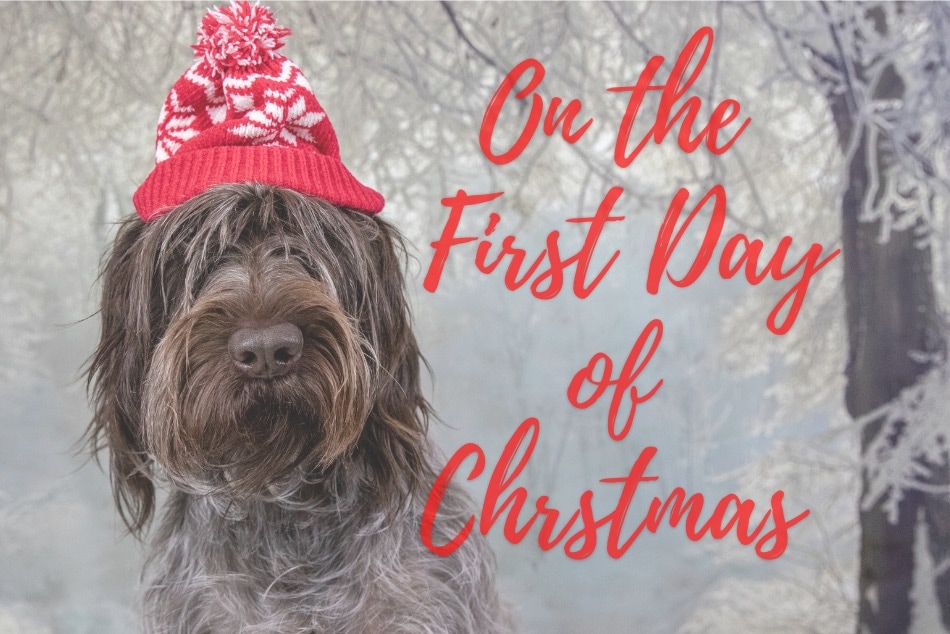 On the First Day of Christmas…